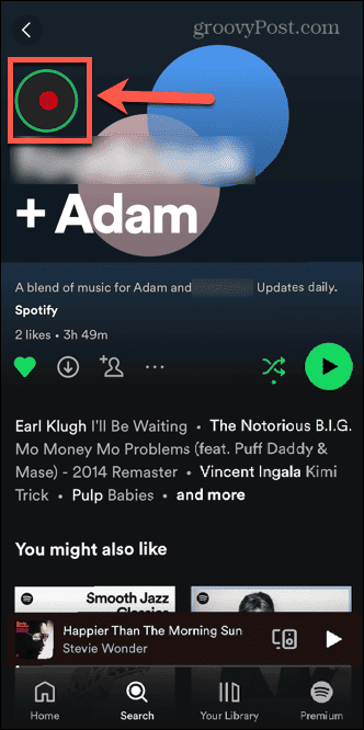 spotify történet ikonra