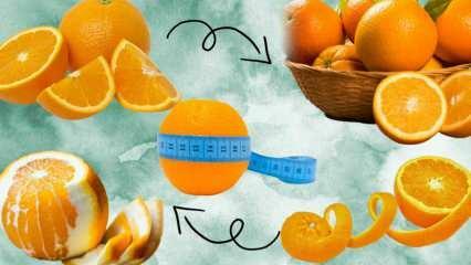 Hány kalória van egy narancsban? Hány gramm 1 közepes narancs? Ha narancsot eszel, hízol?