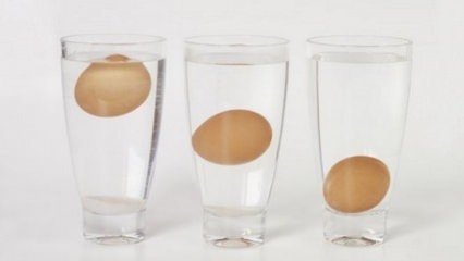 Hogyan lehet megérteni az elöregedett tojásokat?