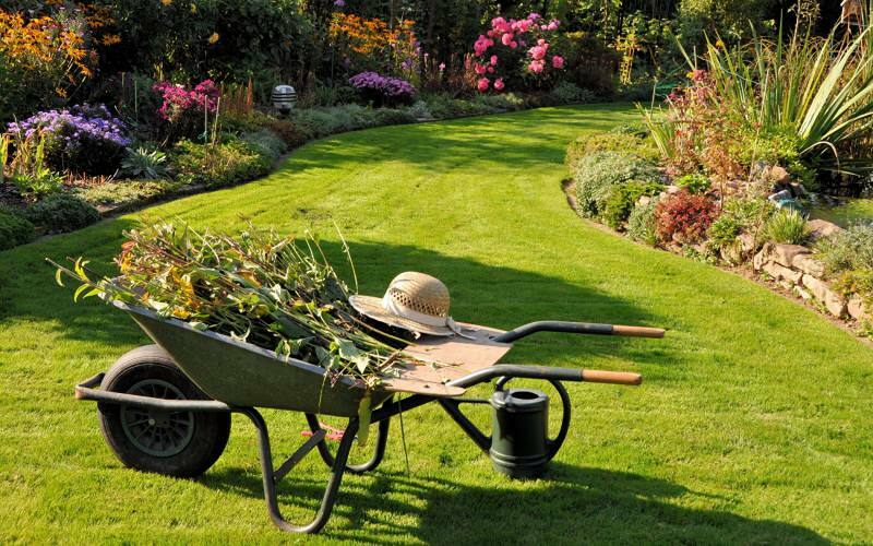 Hogyan történik a kert takarítása? Javaslatok a kert tisztításához és megrendeléséhez!