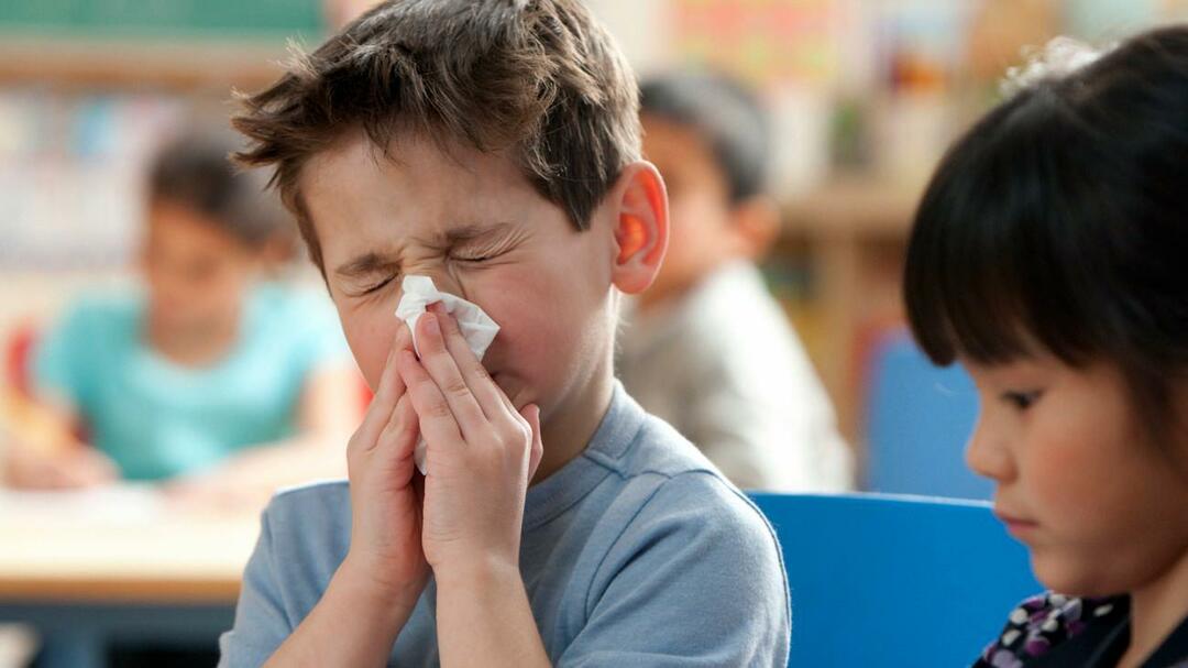 szezonális influenza