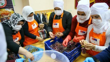 A szíriai nők megtanulják a szőlőt melasszává tenni Izmirben