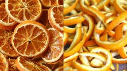 Hogyan szárítja a narancs? Zöldség- és gyümölcsszárítási módszerek otthon