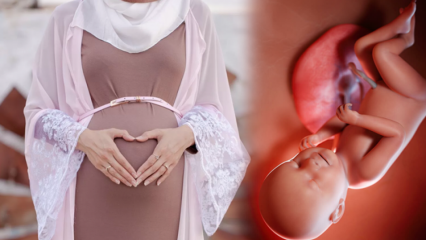 Olvasandó imák annak érdekében, hogy a baba egészséges legyen a terhesség alatt, és Huseyin kívánságainak emlékezete