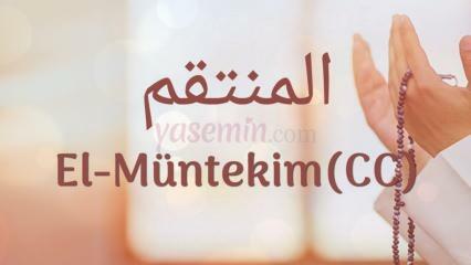 Mit jelent a Al-Muntakim (c.c)? Melyek Al-Muntakim (c.c.) erényei?