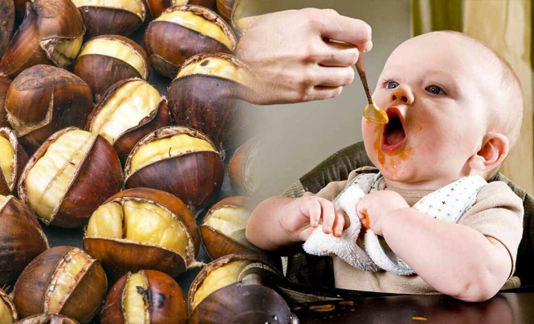 A babák ehetnek gesztenyét? Hogyan készítsünk gesztenyepudingot?