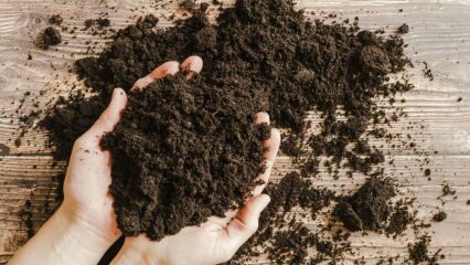 Hogyan kell lennie a cserepes talajnak? Mi a tőzeges moha (tőzeg talaj)?