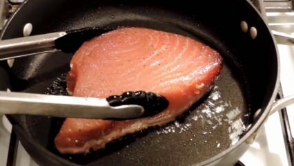 Mi az a tonhal, és hogyan főzik? Íme a recept a tonhalhal pörköléséhez