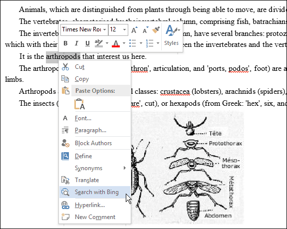 Keressen Bing segítségével