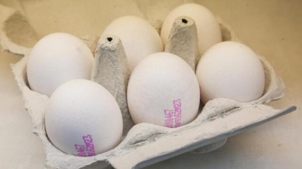 Hogyan értik meg az ökológiai tojást? Mit jelent a tojás kódjai?
