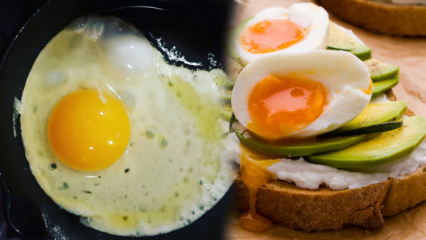 Melyik olaj jótékony egészségünkre? Ha az alulfogyasztott tojást fogyasztja ...