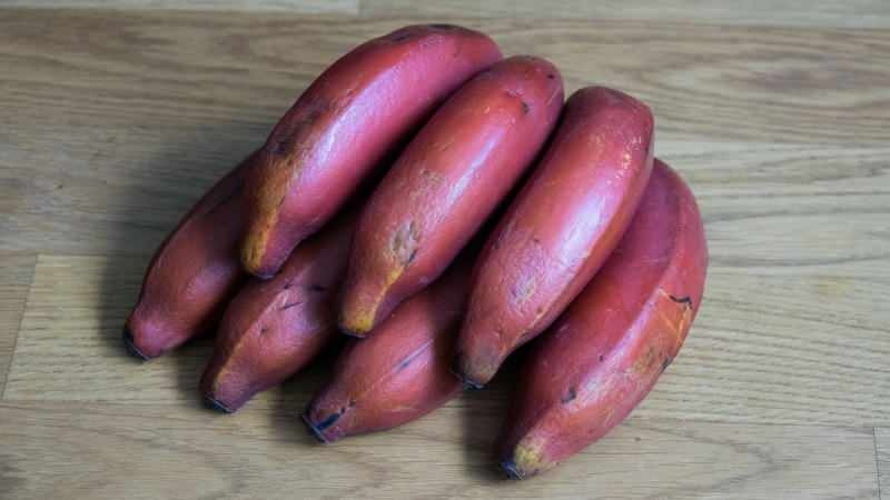 vörös banán érleléskor lilává válik
