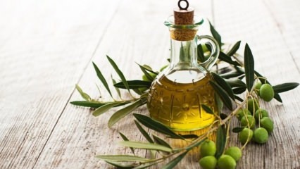 Hogyan lehet kivonni az olívaolaj savját?