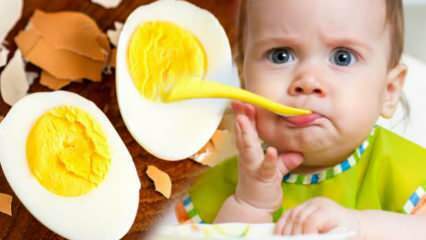 Hogyan kell tojás sárgáját adni a csecsemőknek? Hány hónap alatt kezdheti el a tojást? Baba tojás recept