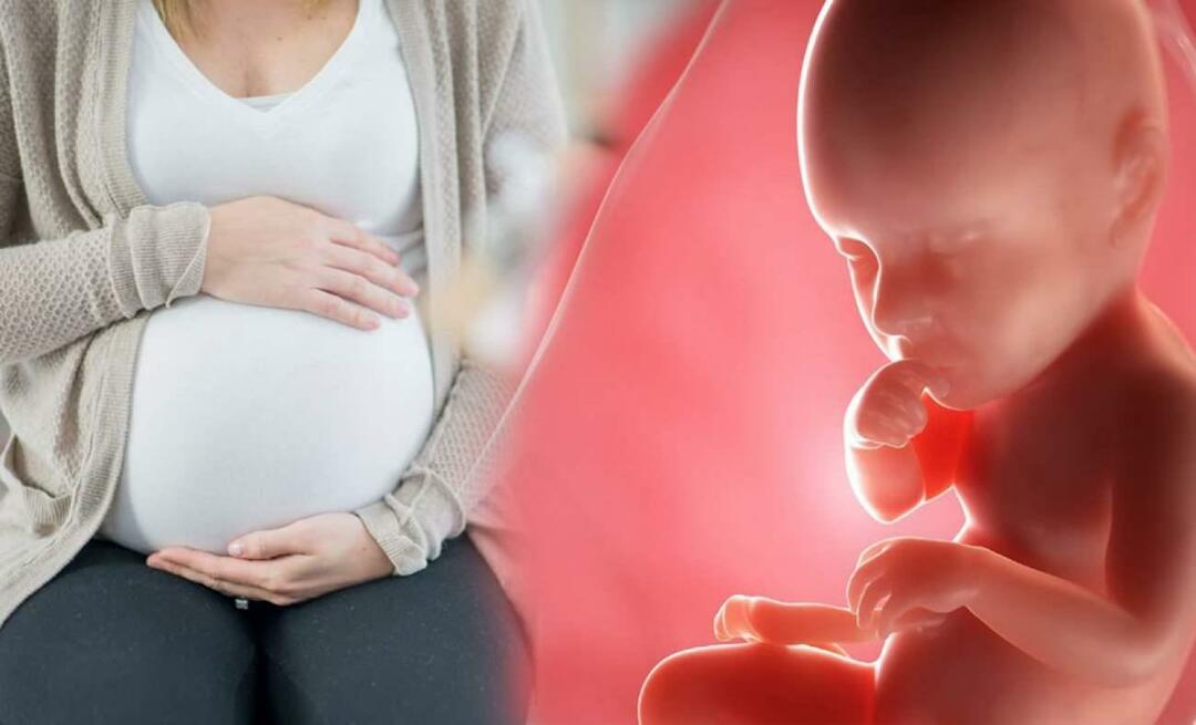 Hogyan jutnak tápanyagokhoz a babák az anyától a terhesség alatt? Hogyan tápláljuk a babát az anyaméhben az anyától