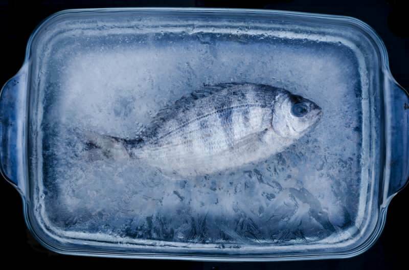Hány napig kell fogyasztani a fagyasztóban lévő halakat?