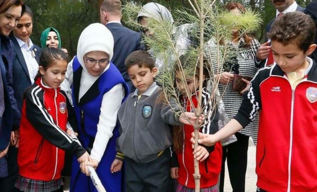 Erdoğan First Lady posztja a Nemzeti Erdősítés Napja alkalmából