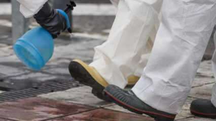 Hogyan lehet teljes körű cipőtisztítást végezni? Hogyan fertőtlenítik a cipő alját?