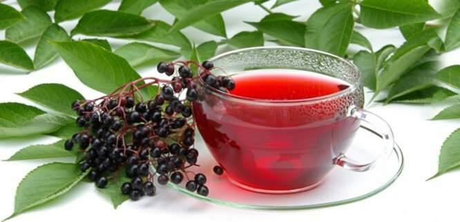 bodzafa tea hihetetlen előnyöket nyújt az immunrendszer számára