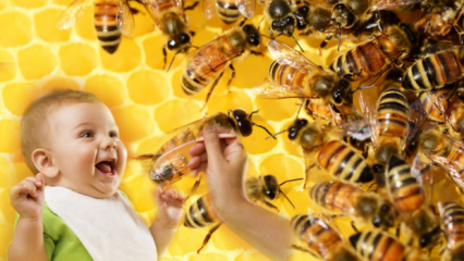 Hogyan kell mézet adni a csecsemőknek? Mit ne adjon be 1 éves kor előtt?