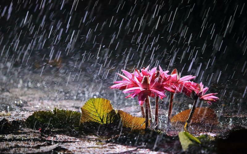 Mit jelent az erős esőzésről álmodni