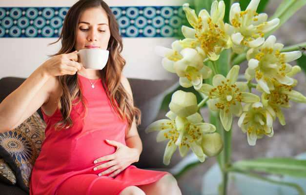 A Saraçoğl gyógyteajánlata terhesség alatt! Káros-e a terhes nőknek gyógyteát inni?