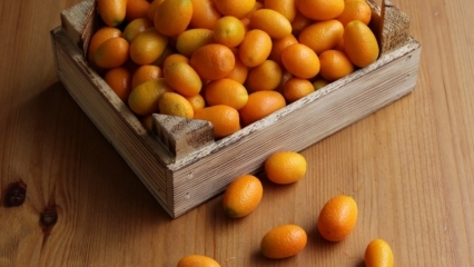Melyek a Kumquat (Kumkat) előnyei? Mely betegségekre lehet jó a kumquat? Hogyan fogyasztják a kumquatot?