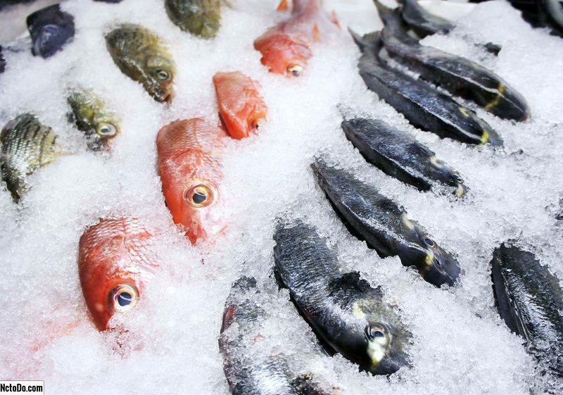 Hogyan tároljuk a halakat a fagyasztóban