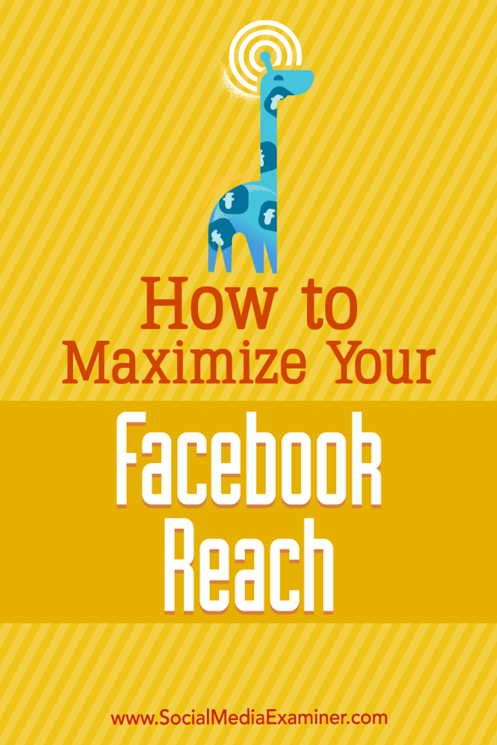 Hogyan lehet maximalizálni a Facebook elérését: a közösségi média vizsgáztatója