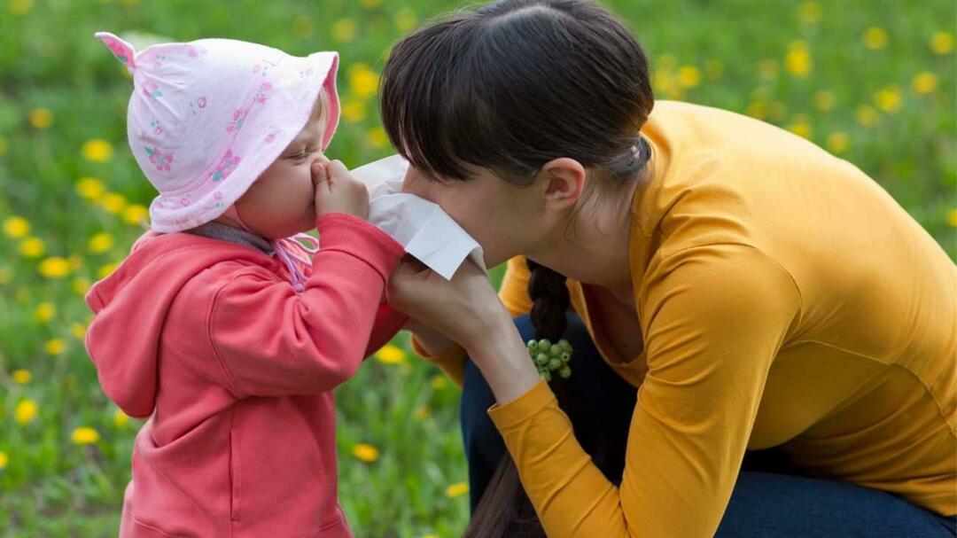 Mi a szezonális allergia gyermekeknél? A hideggel keveredik? Mi jó a szezonális allergiákra?