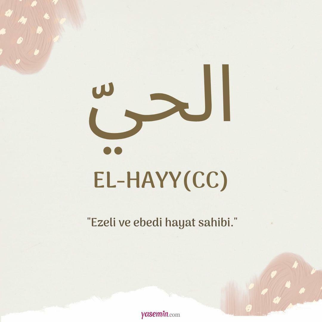 Mit jelent az al-Hayy (c.c)?