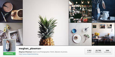 meghan ploughman instagram profile