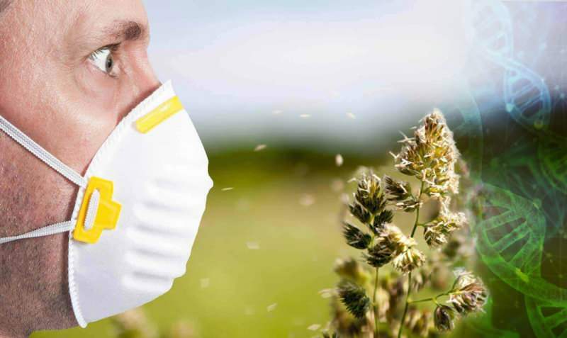 Miért kezdődött korán a pollenallergia!