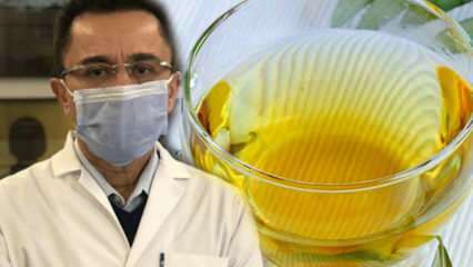 Csodatea a vírus ellen: Milyen előnyökkel jár az olíva levél tea? Olíva levél tea készítése