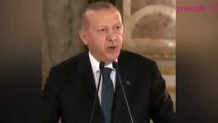 Erdoğan elnök: A művészek, akik politikai oldalukat polemikába öntötték, feldühítik minket