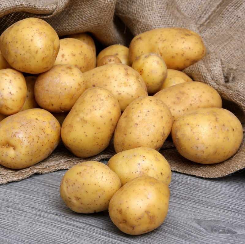 Mi a különbség az étkezési burgonya és a sült krumpli között?