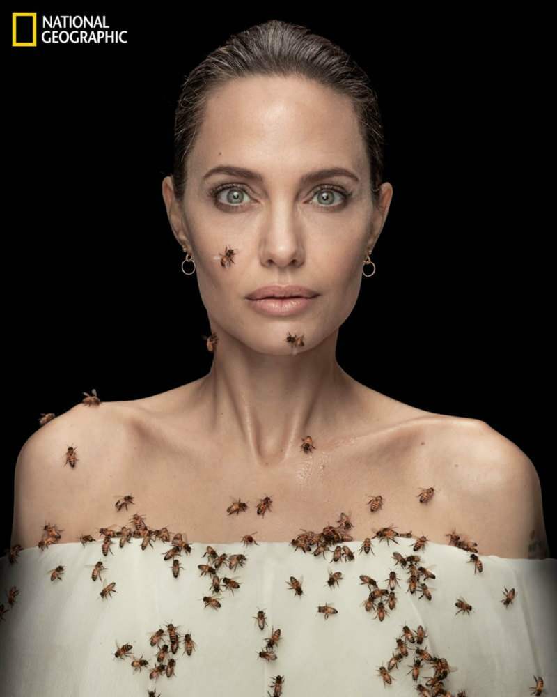 Angelina Jolie lencsében méhekkel a méhek számára!
