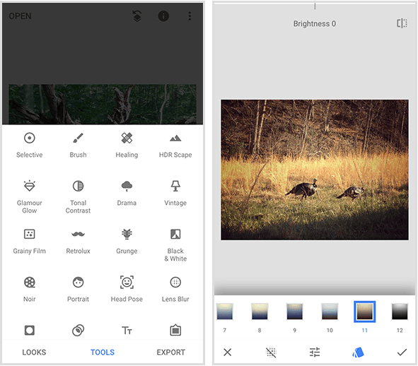 A bal oldali Snapseed menü 20 különböző eszközt mutat, a jobb oldalon lévő Snapseed szűrő példa a fotó két vad pulyka sétál arany fűben, és egy menü szűrők a mobil képernyőjén.