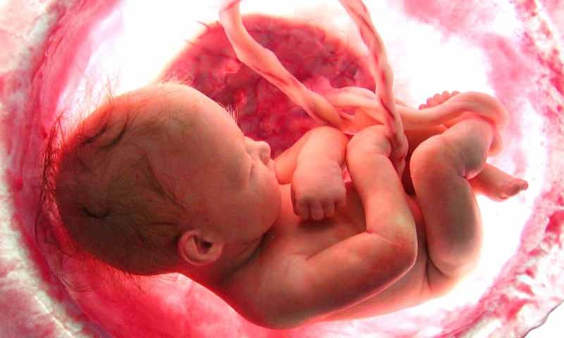 Mi a csecsemő képződése az anyaméhben? Lépésről lépésre születési folyamat