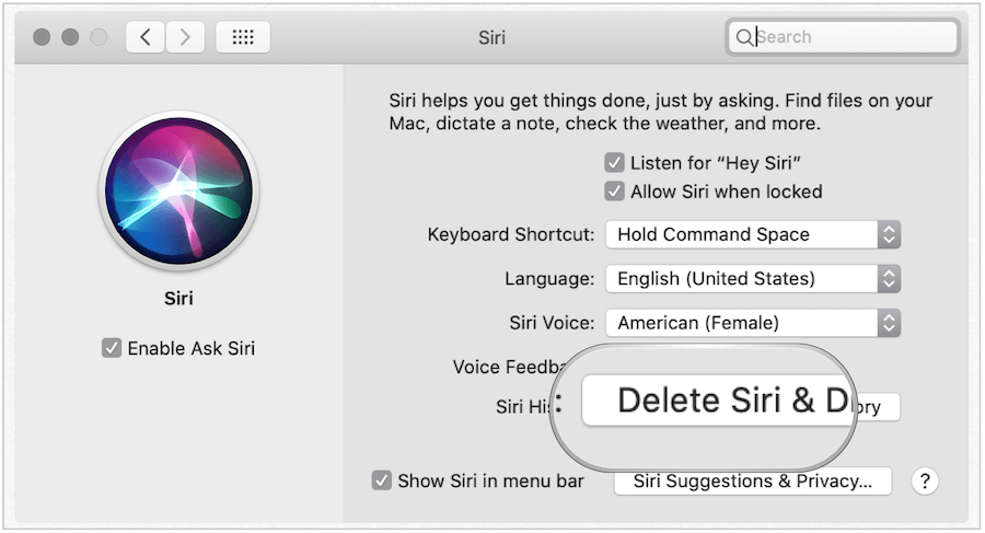 Törölje a Siri Előzményeket a Mac rendszeren