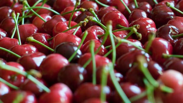 A Cherry előnyei az emésztésre