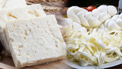 Hogyan lehet megérteni a jó sajtot? Tippek a sajt kiválasztásához