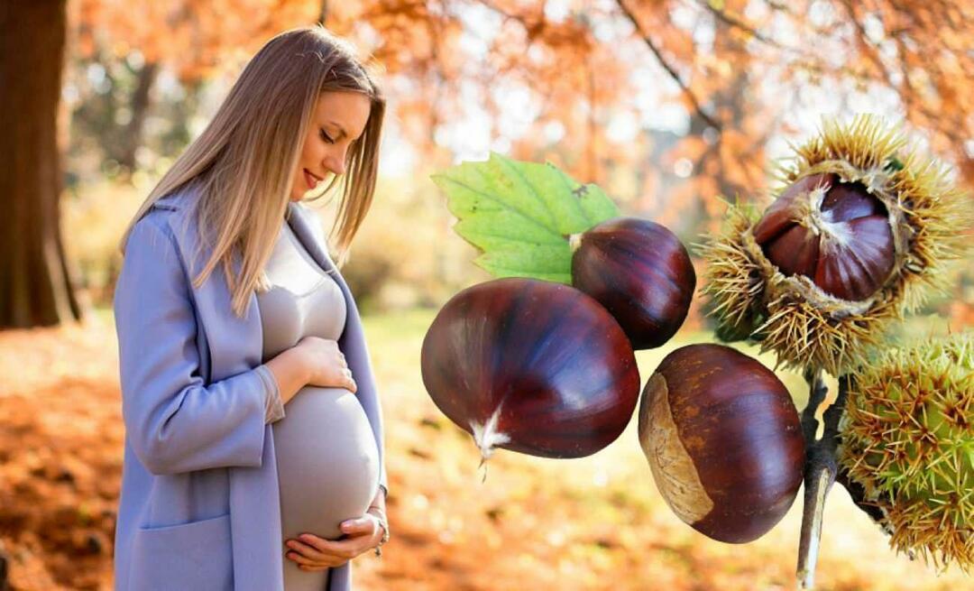 Ehetnek-e gesztenyét a terhes nők? A gesztenye terhesség alatti étkezésének előnyei a baba és az anya számára