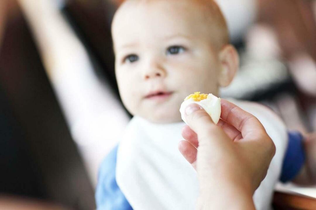 baba eszik tojást