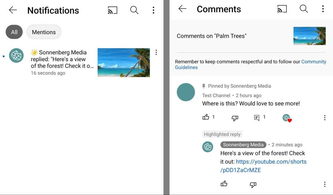 hogyan-használd a youtube-shorts-commenting-funkciót a címkézéshez és a megjegyzések megemlítéséhez-másold ki a rövid URL-címet és oszd meg-megjegyzésben-az-original-video-sonnenbergmedia-example-15