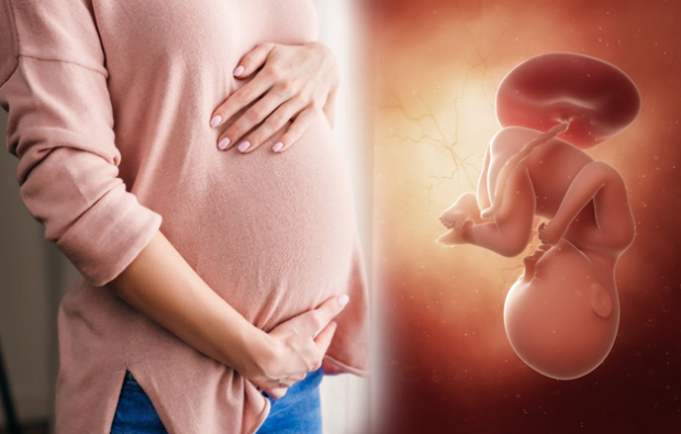 Melyek a terhesség tünetei? A korai terhesség tünetei