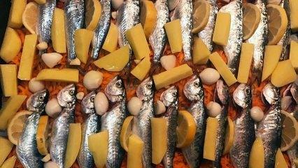 Hogyan kell főzni a chinekopot? A chinakop hal főzésének legegyszerűbb módja! Sült chinekop recept