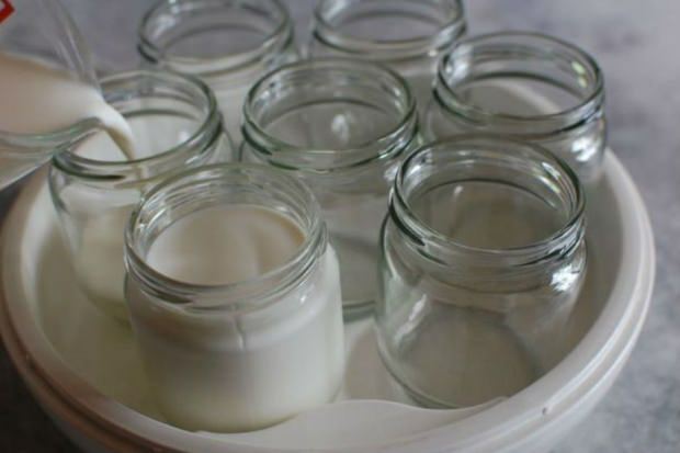 joghurt falusi tejből