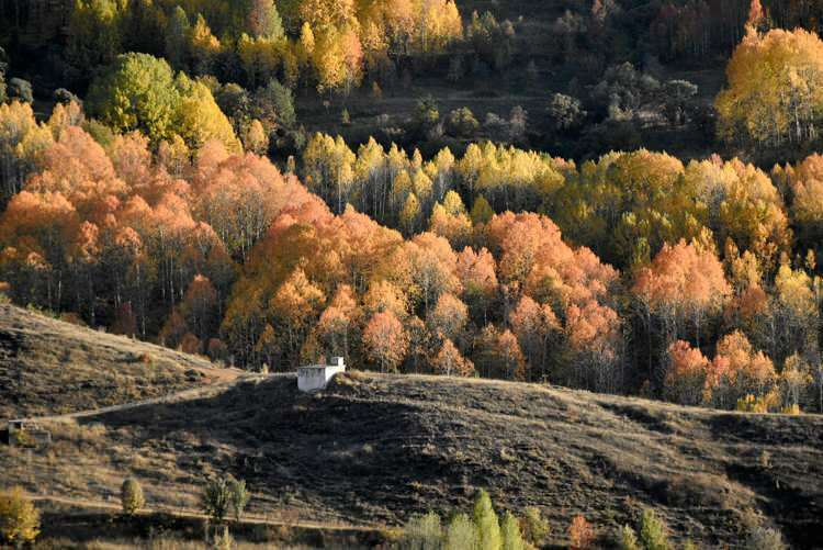 Az őszi színek vizuális ünnepet kínálnak Gümüşhane-ban és Bayburtban