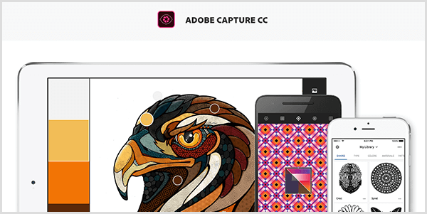 Az Adobe Capture palettát hoz létre egy mobileszközzel készített képből. A weboldalon egy madár illusztrációja és az illusztrációból létrehozott paletta látható, amely világosszürke, sárga, narancssárga és vörösesbarna.